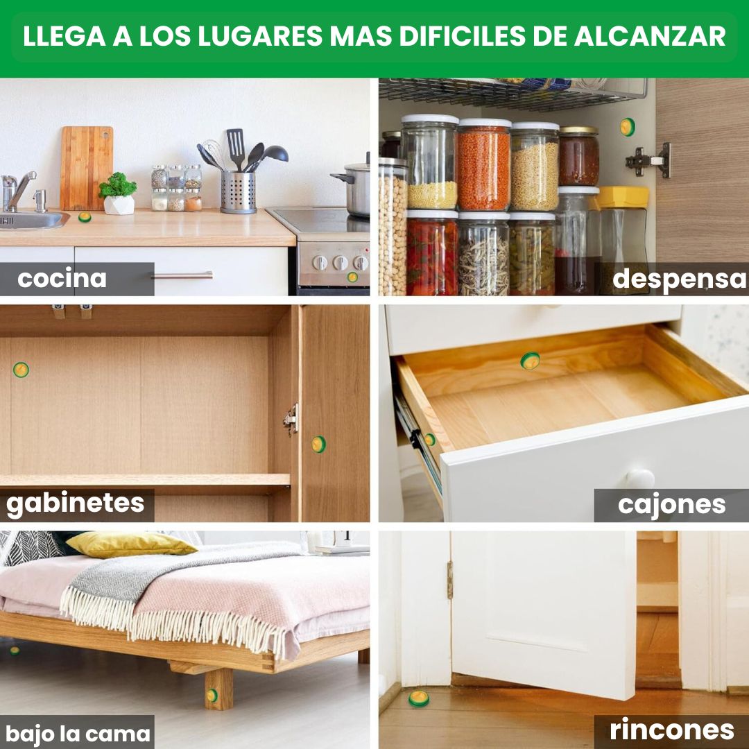 RoachFree® Cebo Repelente Mata Cucarachas