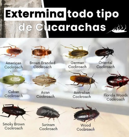 RoachFree® Cebo Repelente Mata Cucarachas