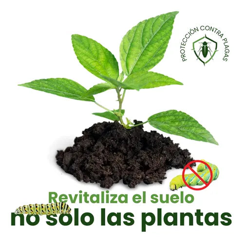 GREEN DROP – 2X1 FERTILIZANTE POTENCIADOR DE CRECIMIENTO INTENSIVO PARA PLANTAS Y JARDÍN